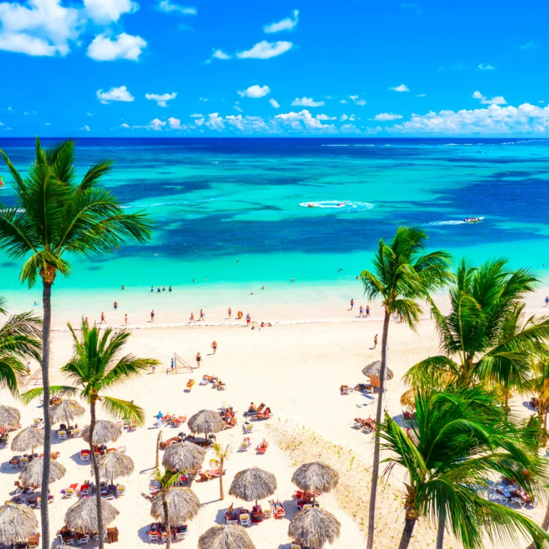 Beach vacation and travel background. Aerial drone view of beautiful atlantic tropical beach with straw umbrellas, palms and boats. Bavaro beach, Punta Cana, Dominican Republic