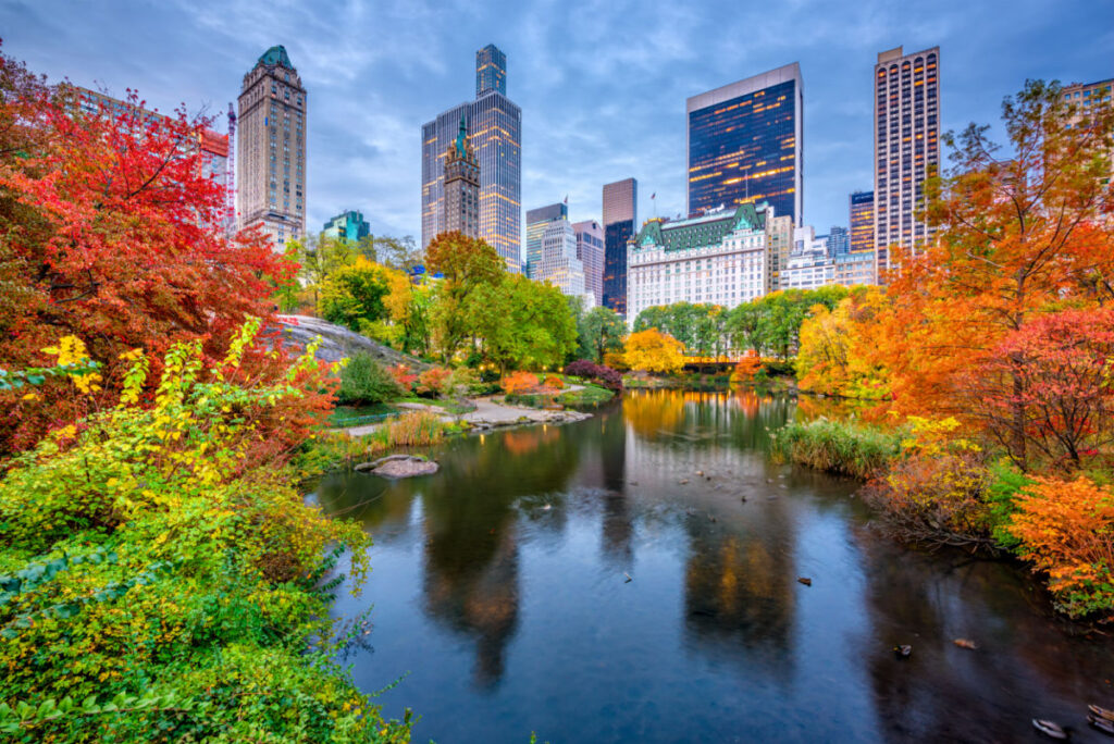 NYC in Fall