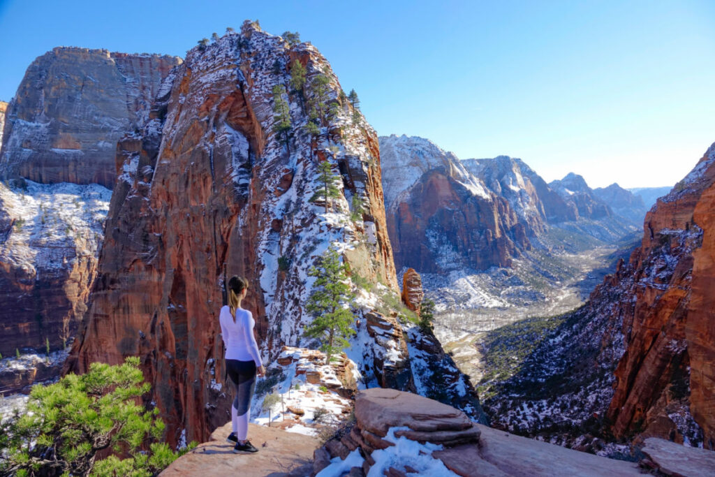 Zion in Winter