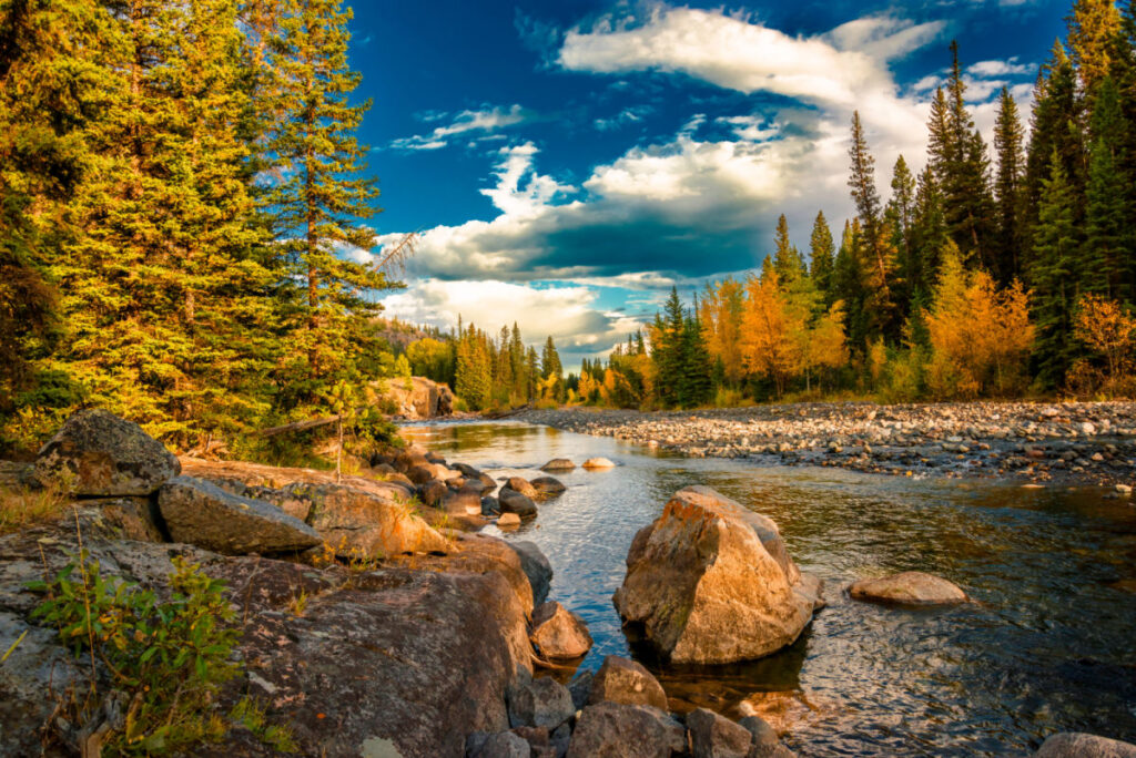 Yellowstone River Montana