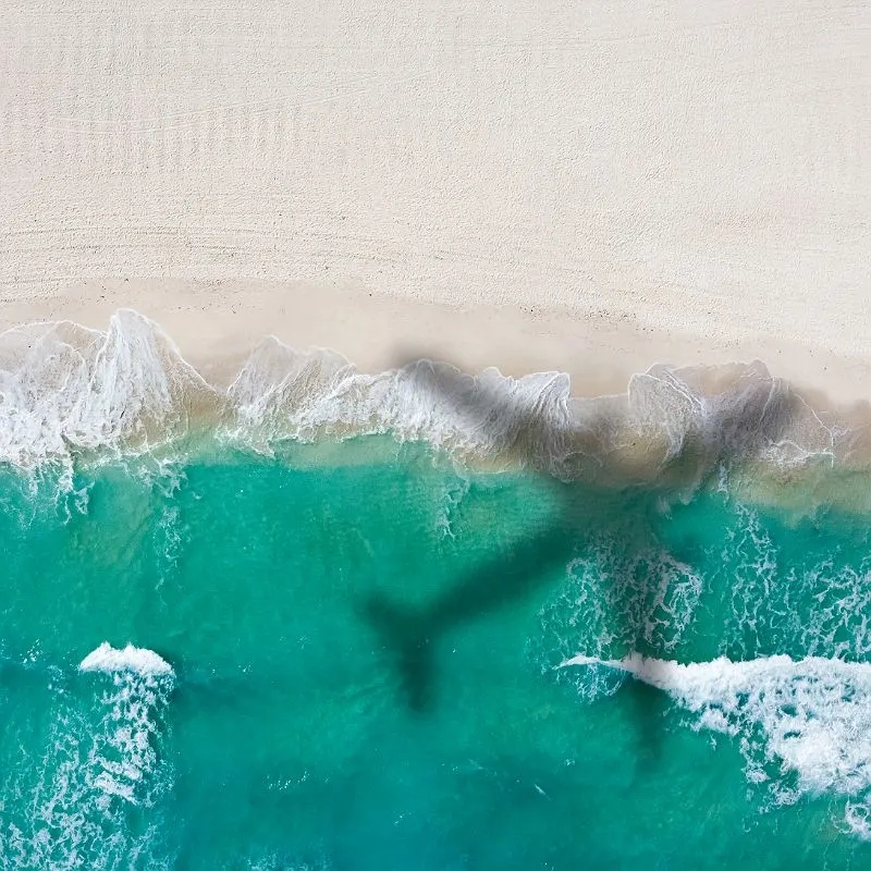 Airplane shadow over beach