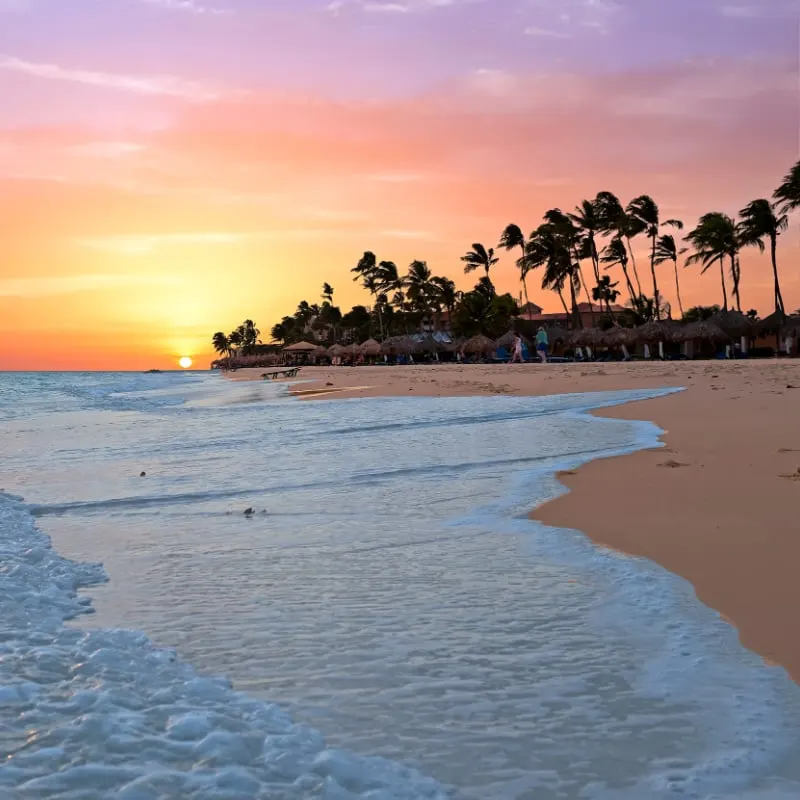 Aruba sunset and palm silhouette ocean