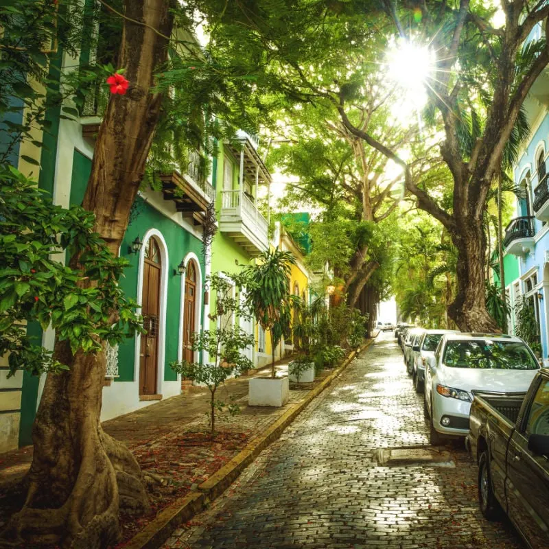 Beautiful street full of trees in old San Juan, Puerto Rico