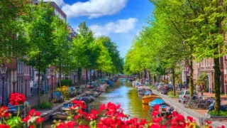 Canal with red flowers and green trees.