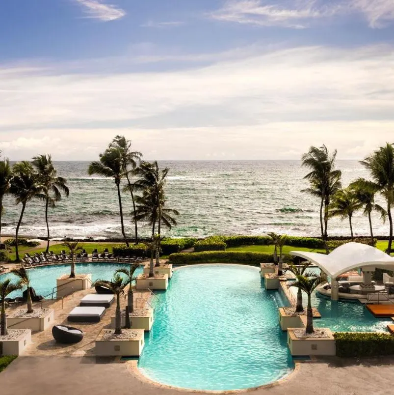 Caribe Hilton Pool View
