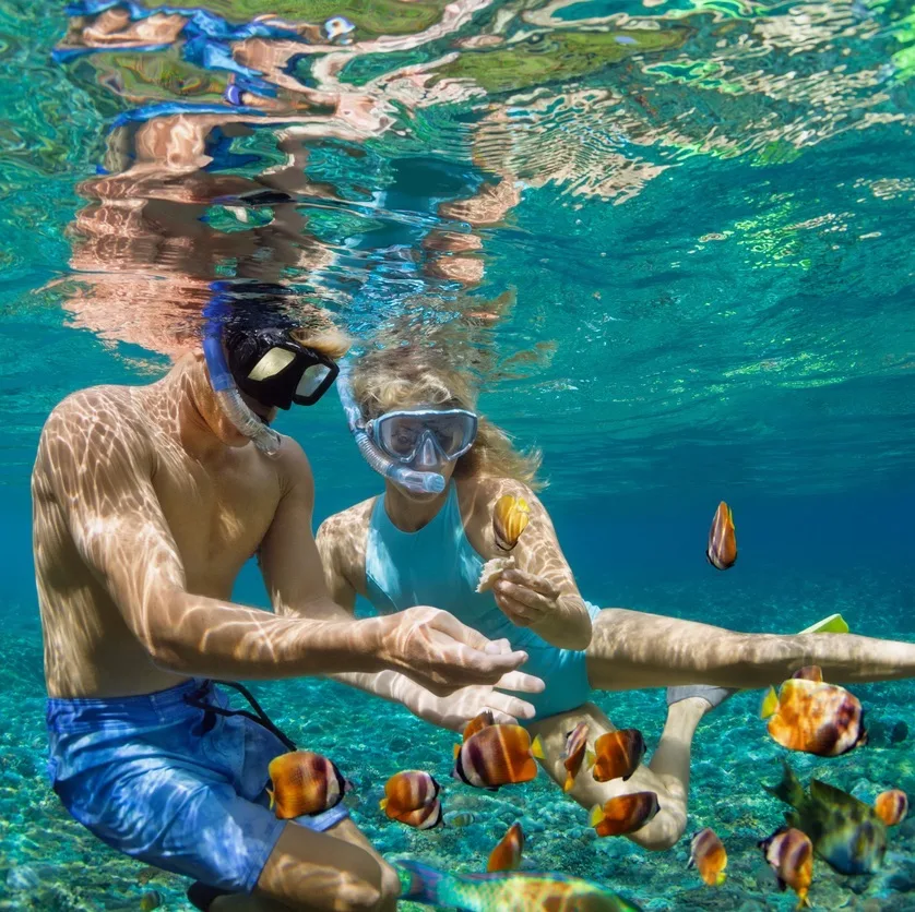 A couple snorkeling in crystal clear waters
