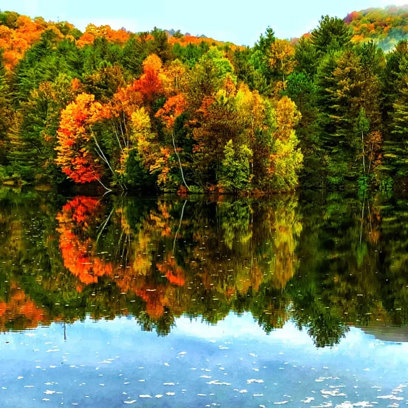 fall foliage reflecting on a lake in vermont