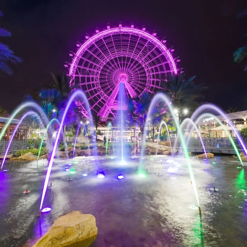 illuminated ferris wheel at night in orlando florida