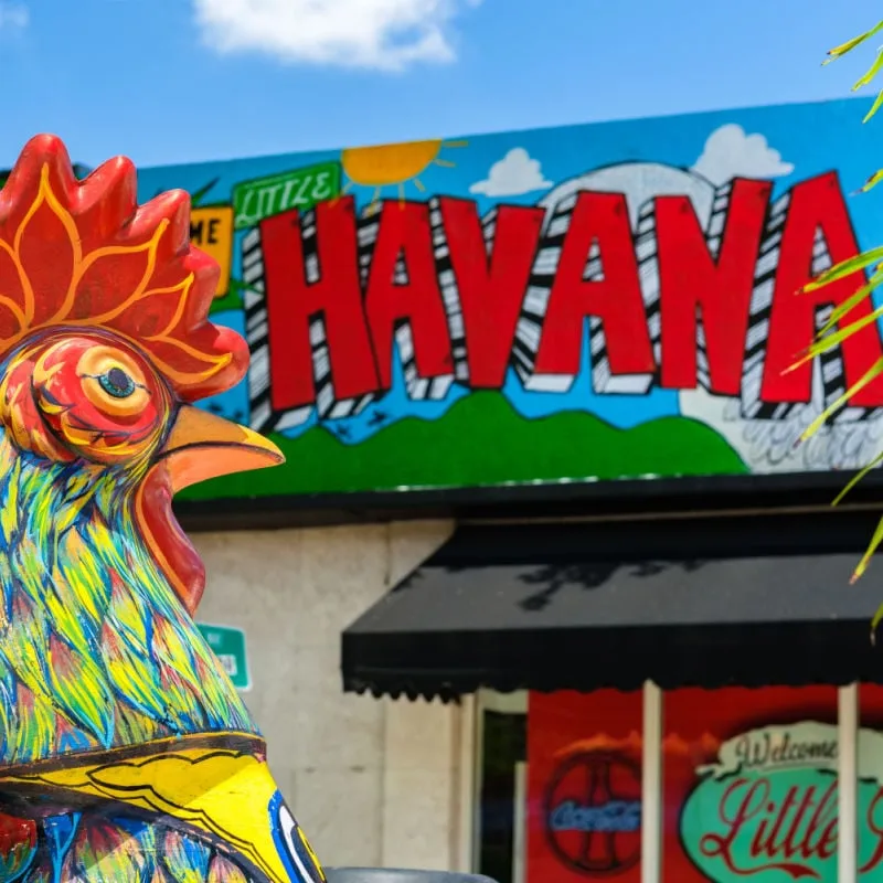 Colorful street art and a giant rooster welcome travelers to Little Havana in Miami Florida