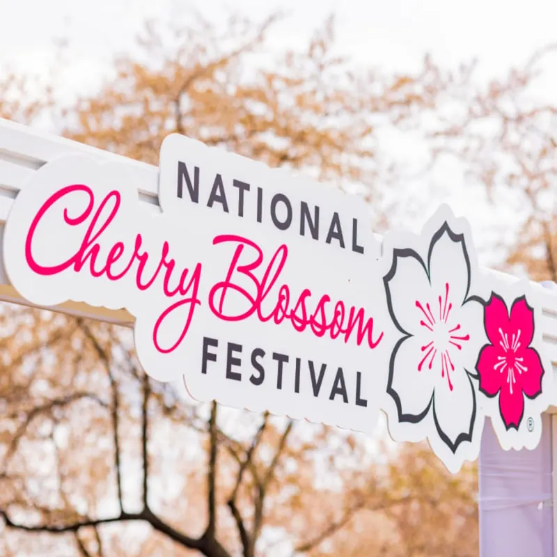 national cherry blossom festival DC sign
