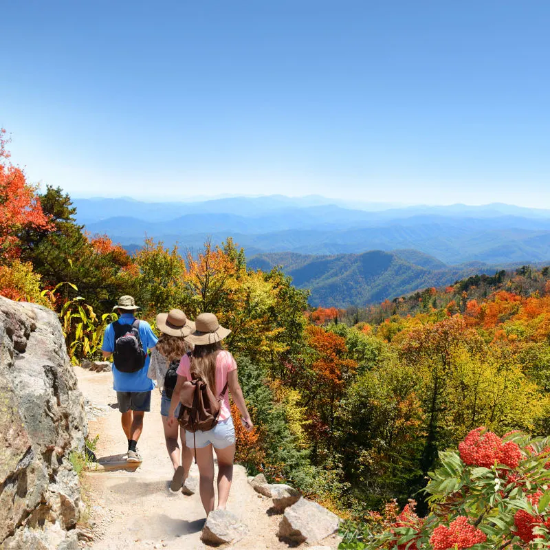 People hiking a trail in Asheville in the Fall