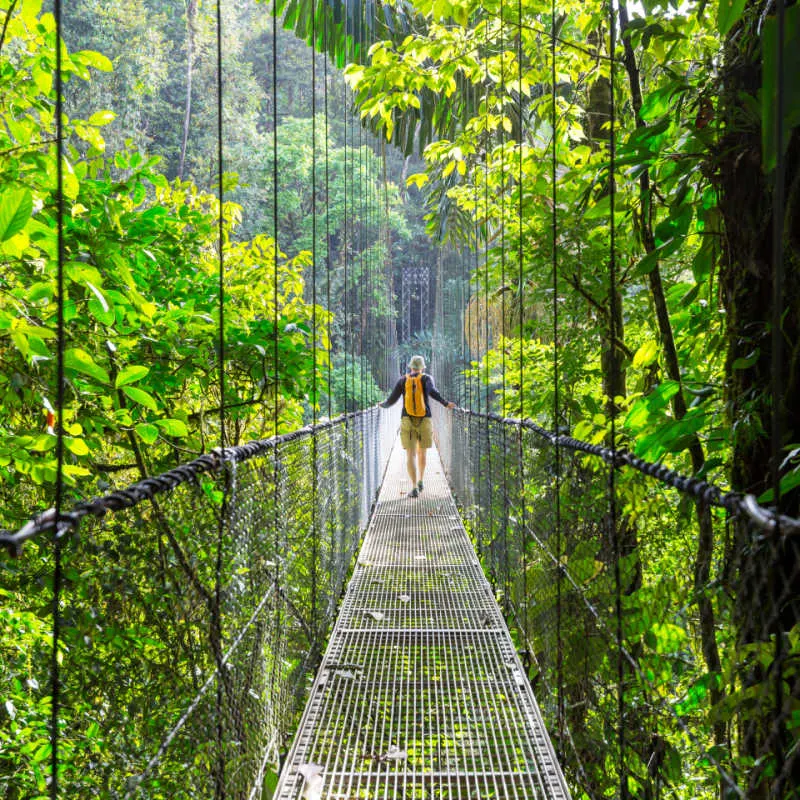 solo traveler on bridge in costa rican jungle