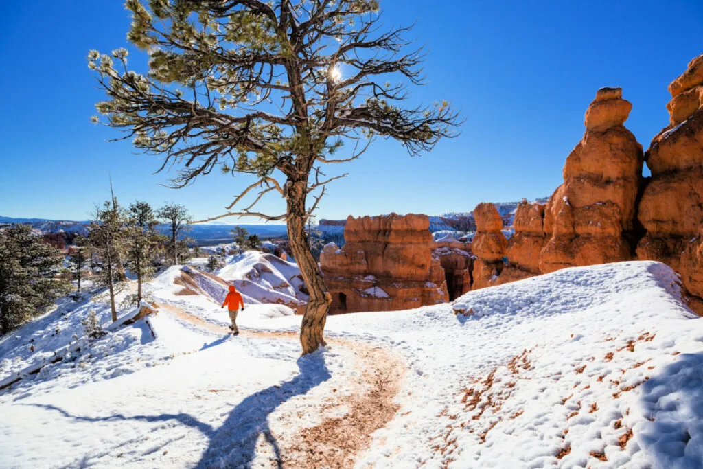 These Are The Top 5 National Parks To Visit This Winter According To New Report  