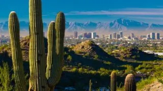Top 10 Reasons To Visit Phoenix This Year